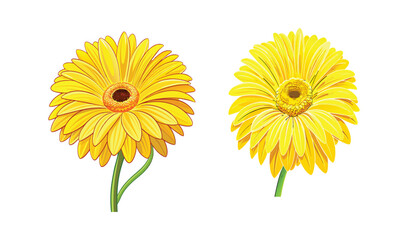 Adobe Illustrator Artwork