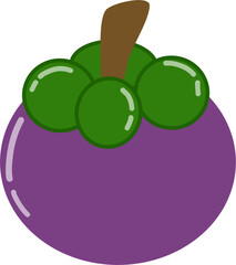 Mangosteen Fruit element