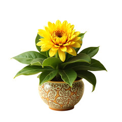 Naklejka premium Autumn still life in garden flowers on transparent background. 