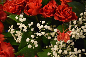 scarlet roses in a bouquet, accompanied by white gypsophila and butterflies, embodies romance, beauty, and delicacy.