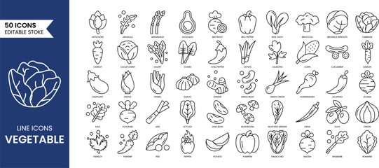 Vegetable line editable icon set. Containing mushroom, carrot, corn, eggplant, beetroot, potato, lettuce and more. Vector illustration
