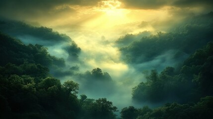 Misty forest valley bathed in golden sunrise light