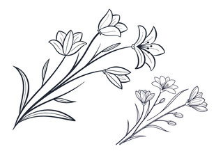 Elegant floral line art of hand-drawn botanical flowers
