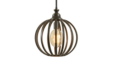 Isolated Industrial Cage Pendant Light Fixture
