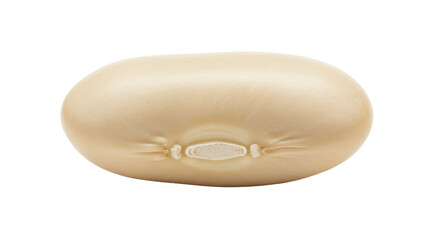 Isolated Close-up of a Single Dry White Bean