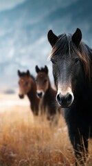 Wild horses grazing in a serene meadow surrounded by mountains on a cloudy day