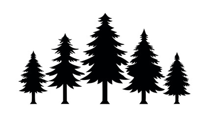 Black silhouette of a pine tree forest grove