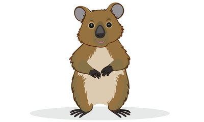 A Cute Quokka vector illustration