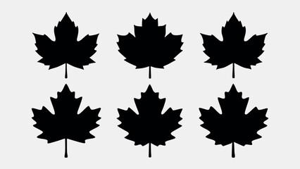 Maple Leaf Silhouette Vector Set