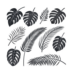 A seamless vector pattern featuring tropical palm leaf silhouettes in black and white, perfect for summer nature illustrations or beach-themed designs © NasimaAktar