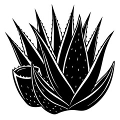vector illustration of a crown
