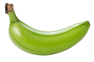Fresh green plantain fruit close up view isolated on transparent background