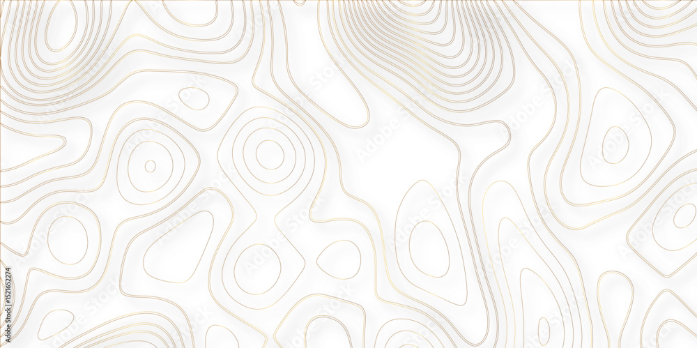 Poster Abstract white golden Topographic line map background shadows. Contour elevation topographic and textured Background Modern design with White background with topographic wavy pate for decoration.	