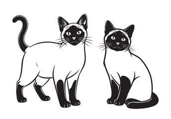 Black and white vector illustration of two Chocolate Point Siamese cats, one standing and one sitting. Elegant design perfect for prints, logos, and decor. Pet, Animal.