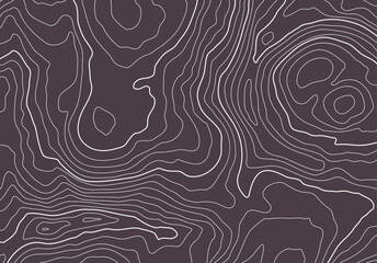 Topographic map background with altitude lines. Abstract terrain topography with elevation levels of the relief