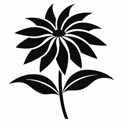 Coneflower Silhouette vector icon on white background