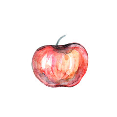 Freshly painted red apple showcasing natural beauty and vibrant colors in a simple artistic style on a white background