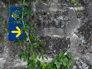 yellow arrow showing the direction of the pilgrimage to Santiago in portugal on the camino de...