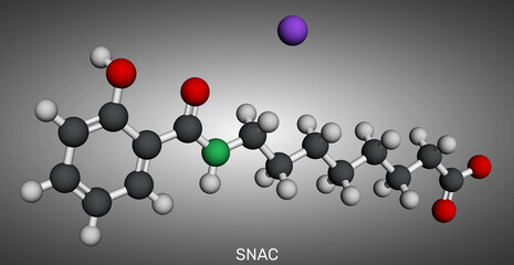 Sodium salcaprozate, SNAC molecule. Absorption enhancer for oral peptide drug delivery. Molecular model. 3D rendering.