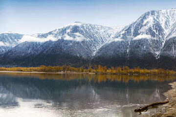 Autumn view of the confluence of the Chulyshman River with Lake Teletskoye. Altai Republic, Russia