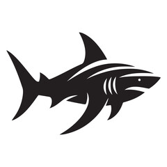 Shark Vector Illustration
