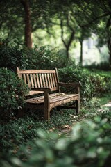 Wooden Bench Nestled Among Lush Greenery in a Tranquil Park Setting