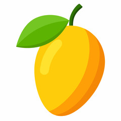 orange fruit vector illustration