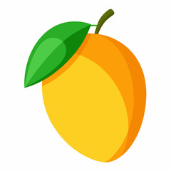 orange fruit vector illustration