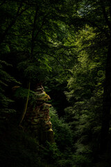 old rocks in the forest