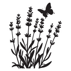 Black and white floral vector illustration with flowers leaves and butterfly