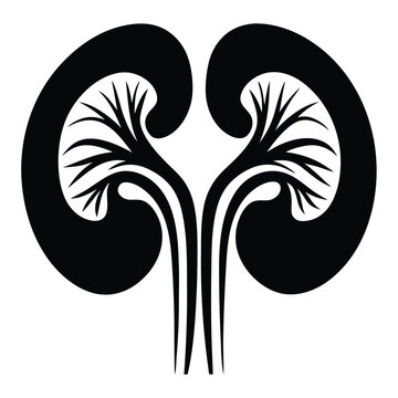 black kidney anatomy graphic clip art preview