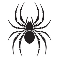 Spider Vector Illustration

