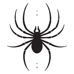 Spider Vector Illustration
