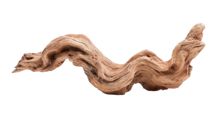 Weathered driftwood isolated on a black background, showcasing intricate textures and details.