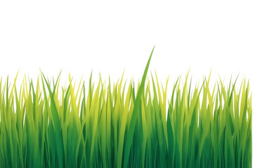Obraz premium Vibrant green grass border isolated on transparent background
