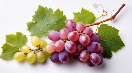 Grapes with leaves with shadow on white background