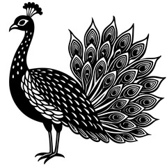 peacock vector illustration