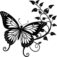 black and white butterfly