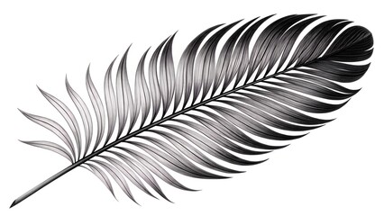 Palm Leaf Silhouette Art