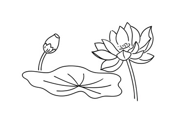 Elegant lotus flower illustration in minimalist black and white drawing style