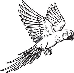 Obraz premium Graceful vector illustration depicting a parrot in flight with detailed outline and wings spread for design