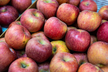 apples on sale at the market