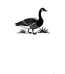 canada-goose-illustration--wildlife--nature--white.eps