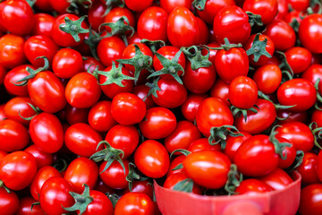 cherry tomatoes on sale at the market