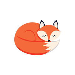 Adorable sleeping fox curled up in a ball