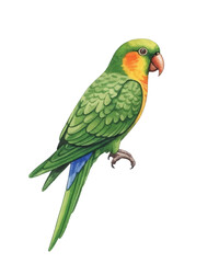 Adobe Illustrator Artwork