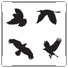 Flying bird silhouettes collection – black wild bird vector icons in various wing positions for nature design, sky illustrations, freedom themes, wildlife graphics, and tattoo art

