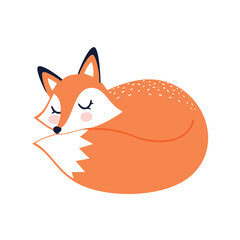 Adorable sleeping fox curled up sweet dreams wildlife animal