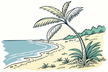 palm trees on the beach