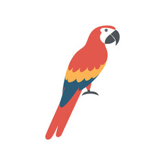 Vibrant red macaw parrot tropical bird illustration